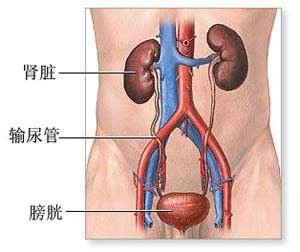 中医治疗肾病